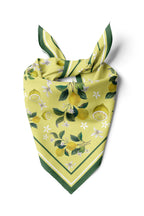 Women's Scarf Bandana - Stylish Women's Bandana Scarf
